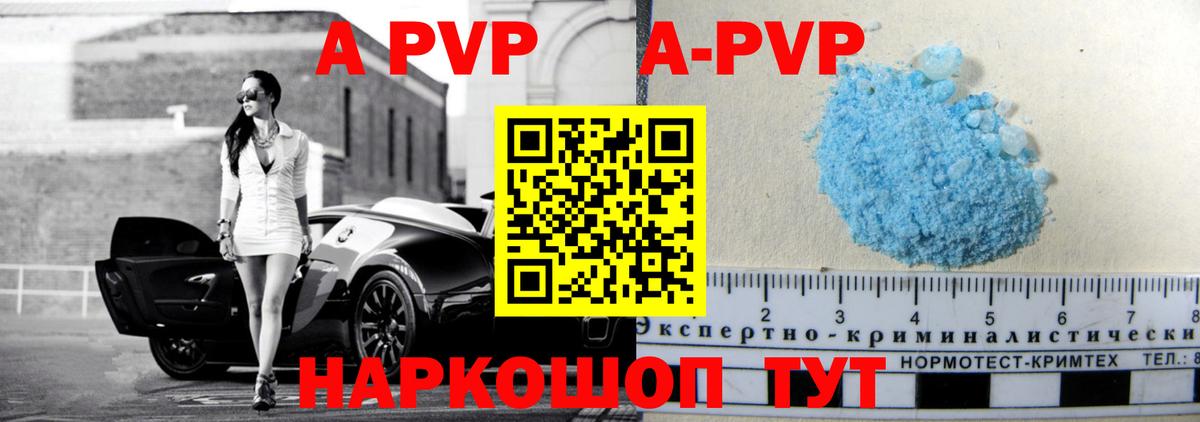 A PVP СК КРИС Сальск