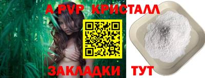 прущие грибы Пушкино