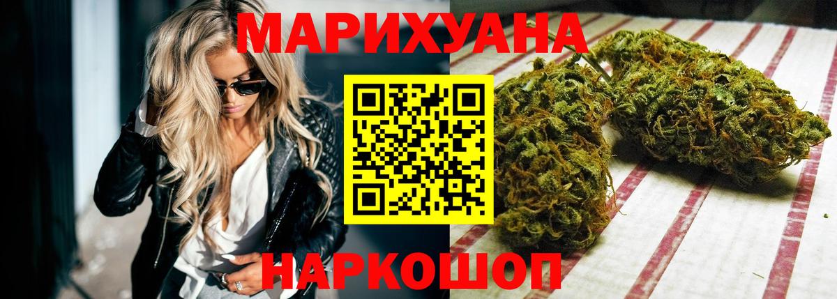 Канабис сатива Сальск